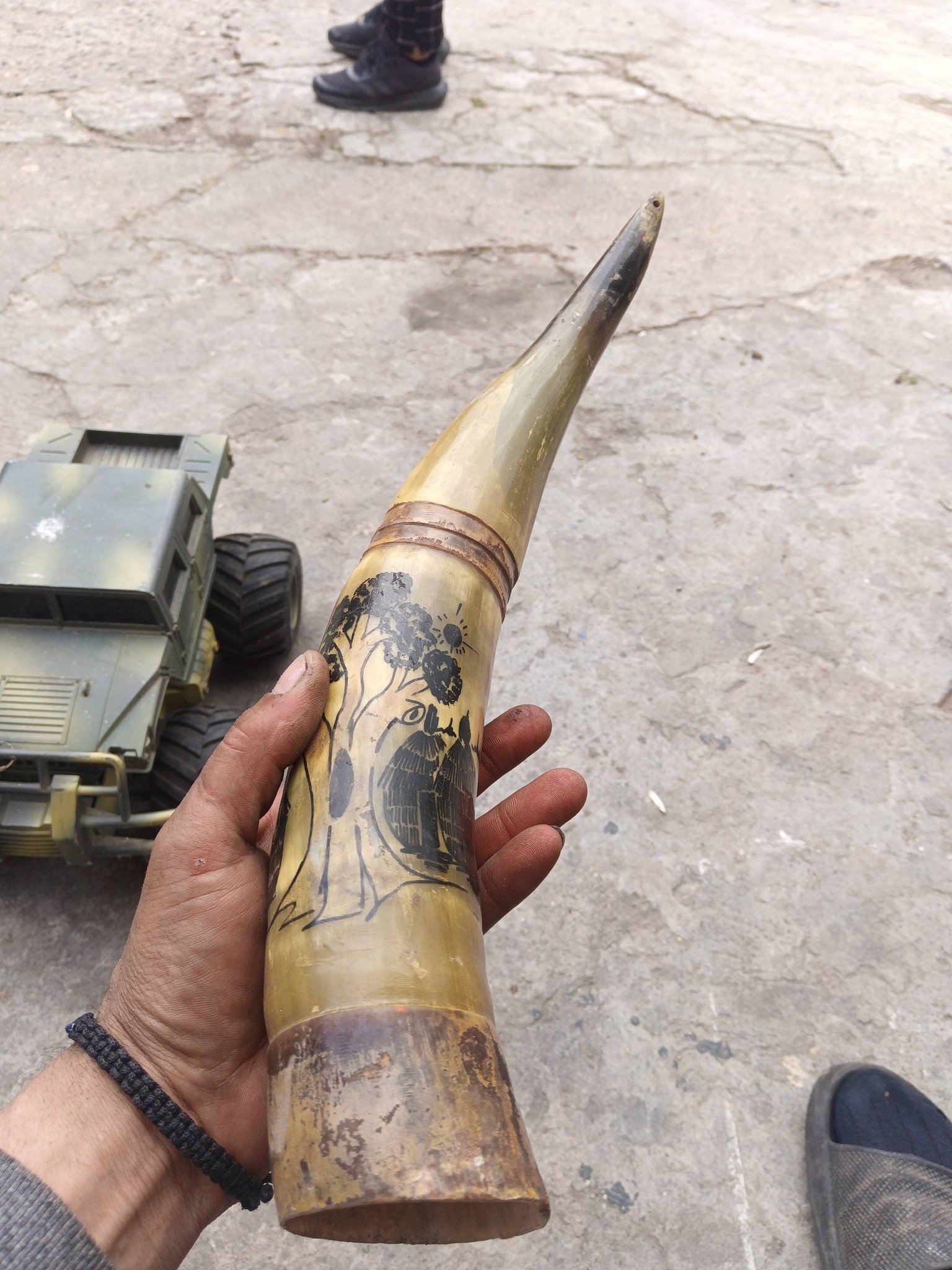 Corn taur sclubtat pictat 200 lei