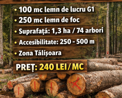 661683175_968374392811854_8067776419457110102_n