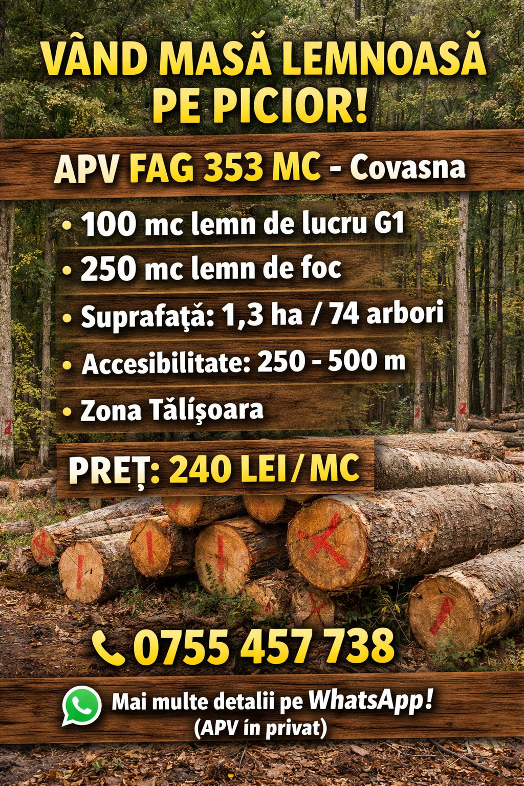 Ofer spre valorificare masă lemnoasă fag pe picior, jud. Covasna