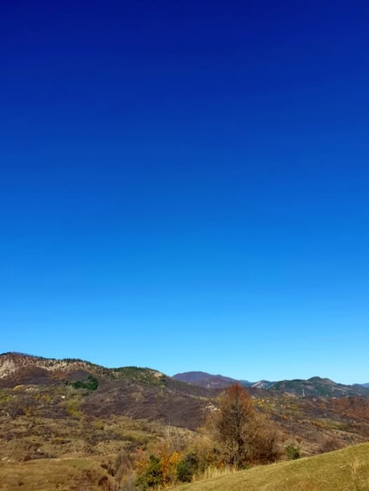 4.000 mc pe picior,rărituri , zona de deal a jud Buzău, aproape de DN10. ~90% stejar, APV existent. 300 lei/mc, plata integrală.