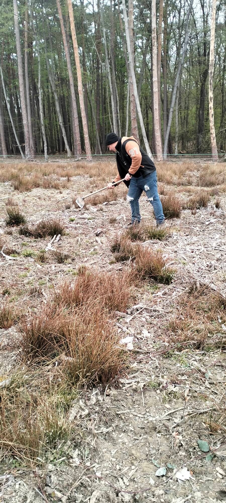 Echipă de 7–8 persoane și oferim servicii în domeniul silviculturii