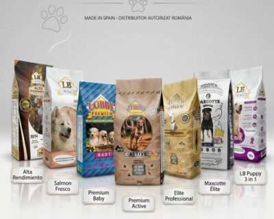 667878459_1313123024211359_7869623506355256497_n