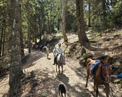 670287189_18452098066117072_6180713653792414796_n