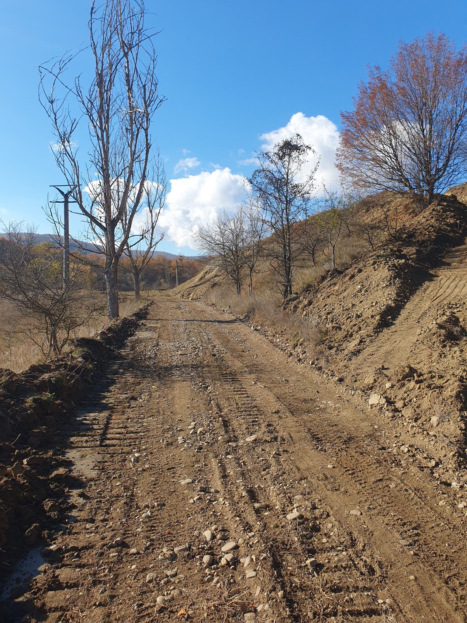 Lemn de foc pe picior , 90% esentă tare preponderent gorun si carpen , raritura 4.000 mc