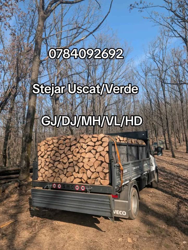 Sparte/bocuri , tăiate la orice dimensiune după preferințele clientului