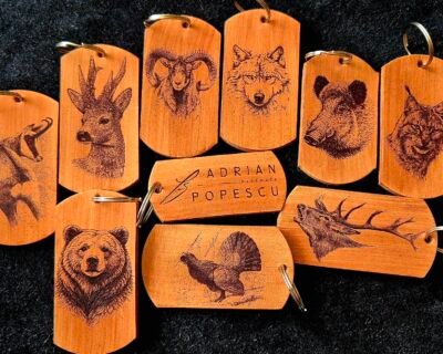 672236422_3127436284106178_5075105303559624613_n