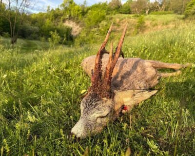 672691282_2019291398656809_937887800802191394_n