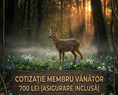 673946730_122328187874199434_6138166081580484183_n