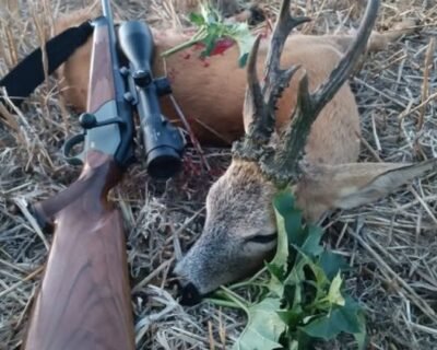 674449402_3376110445869649_8086828765001892781_n