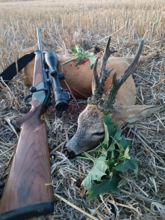 O experiență autentică în județul Arad