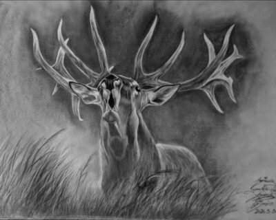 674941846_1519196226299520_939683963034327884_n