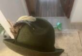 Vând pălărie vânător mărime 56,preț 150 lei