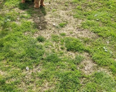 678267297_26544286541886914_6448146817486269338_n