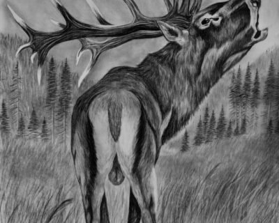 679056316_1521680206051122_9012584170805002438_n