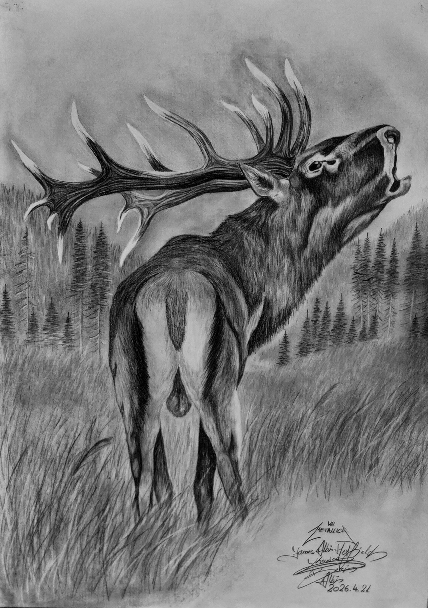 Desen – Kovács Albi Hetfield