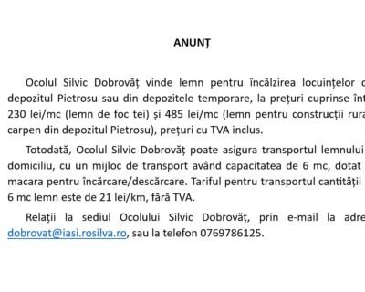 681472552_1528107452658514_6241591595408654840_n