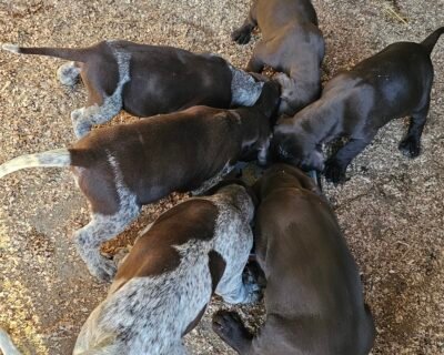 684127318_26458365187124700_5174941206616369641_n