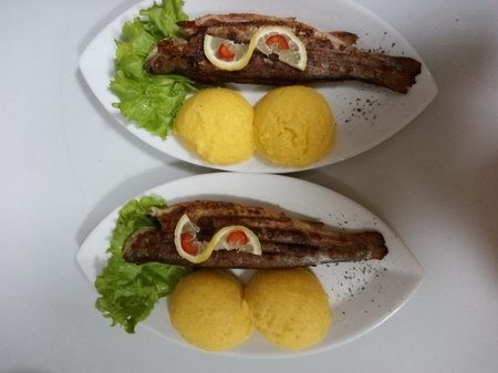 Păstrăvăria Transalpina – RESTAURANT