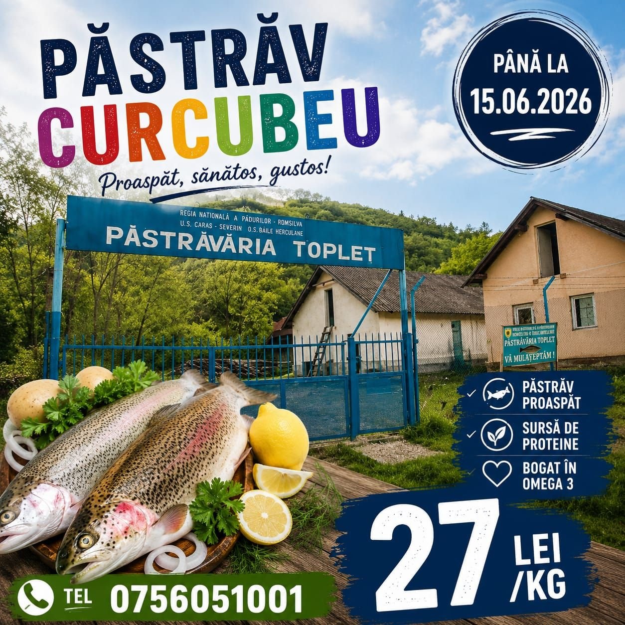 Păstrăv de consum la prețul de 27 lei/kg