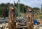 Mese, bănci rustice cu diferite animale sculptate , sculpturi cu drujba pe comandă !