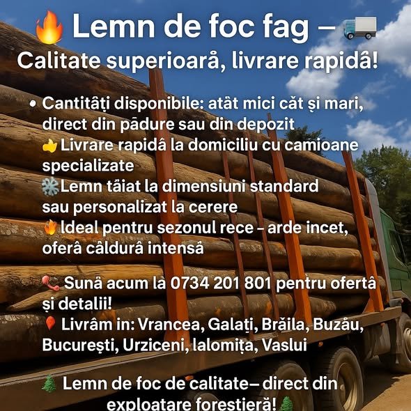 Lemn de foc fag – VRANCEA