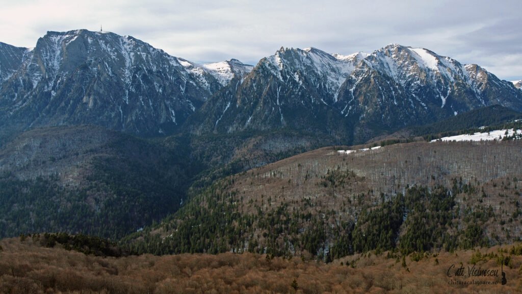 Traseul Șaua Baiului – Vârful Leuca Mică – Valea Grecului
