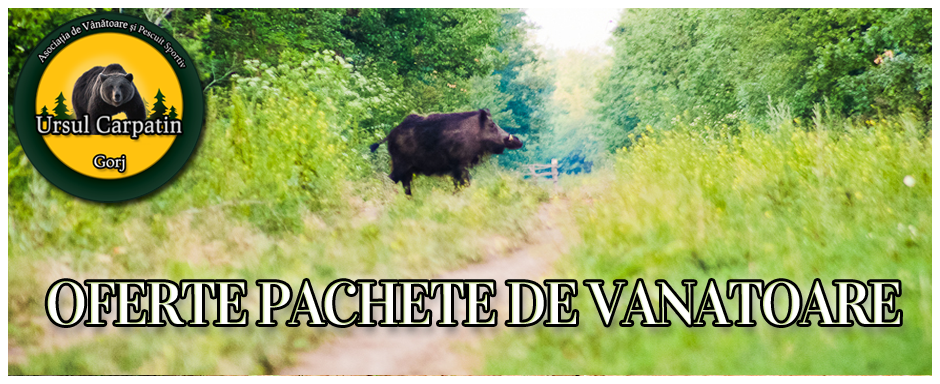 Vanatoare