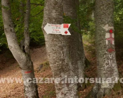 traseu-turistic-intorsura-ciucas.5