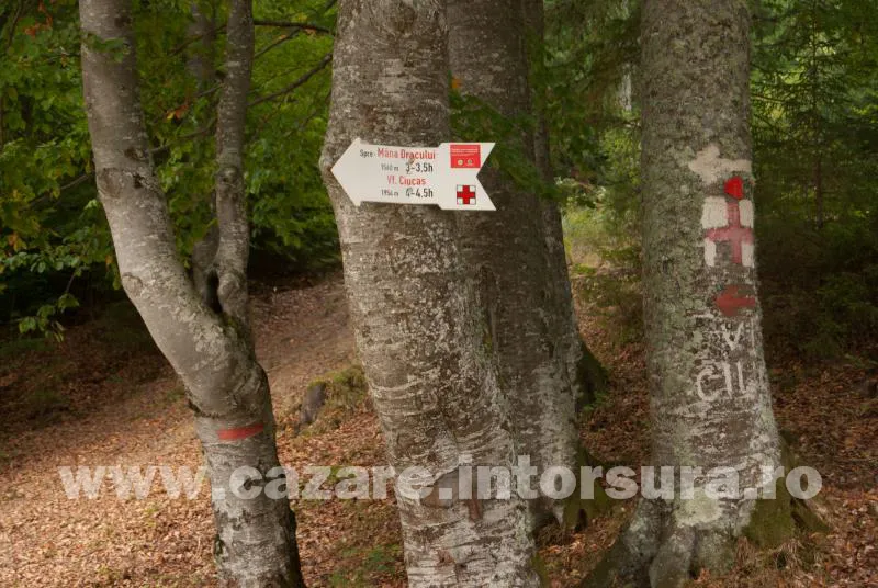 Traseu turistic – Întorsura Buzăului – Vama Buzăului – Dalghiu – Vârful Ciucaș (1954m)