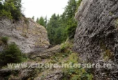 Traseu turistic – Întorsura Buzăului – Vama Buzăului – Dalghiu – Vârful Ciucaș (1954m)