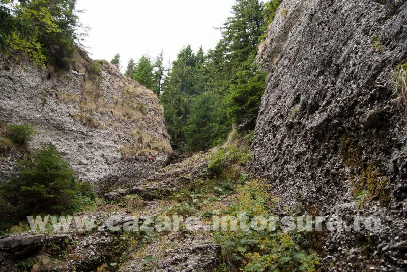 Traseu turistic – Întorsura Buzăului – Vama Buzăului – Dalghiu – Vârful Ciucaș (1954m)
