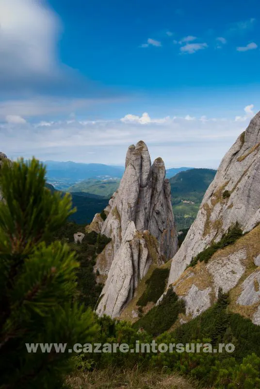Traseu turistic – Întorsura Buzăului – Vama Buzăului – Dalghiu – Vârful Ciucaș (1954m)