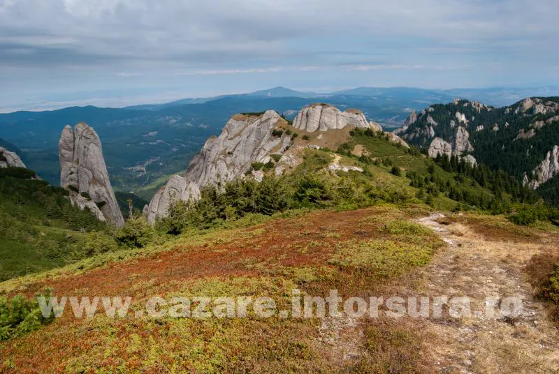 Traseu turistic – Întorsura Buzăului – Vama Buzăului – Dalghiu – Vârful Ciucaș (1954m)