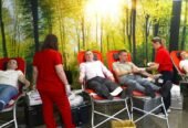 Romsilva – Ocolul Silvic Bozovici 📢 ANUNȚ DE INTERES PUBLIC