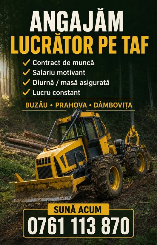 ANGAJĂM ÎN EXPLOATARE FORESTIERĂ