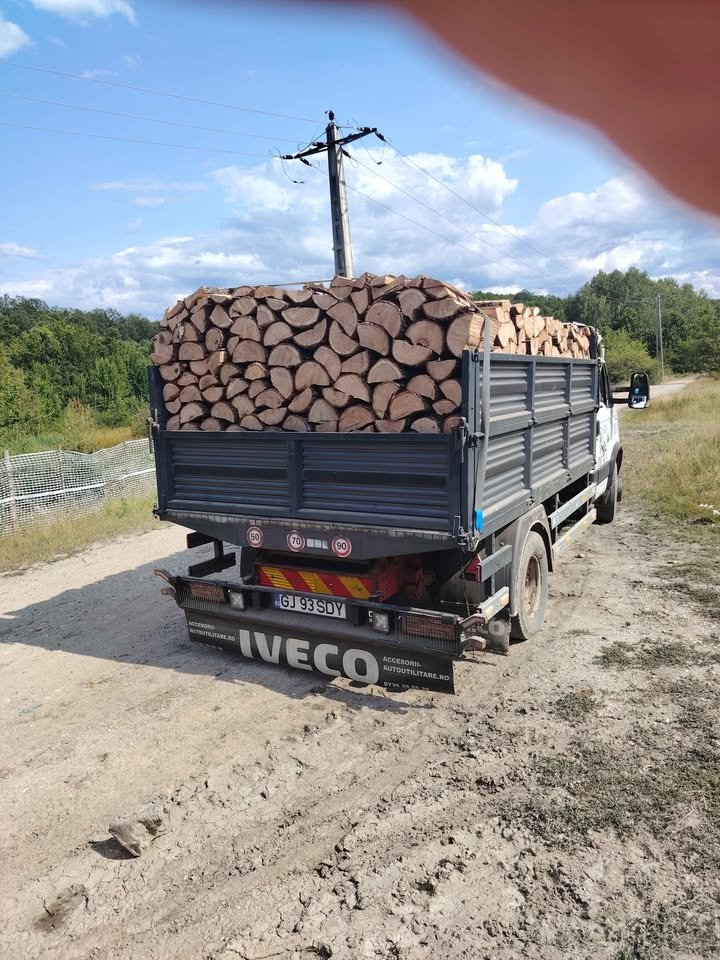 SC PATRI ERY SRL , FIRMĂ EXPOLATARE FORESTIERĂ,VINDE SI TRANSPORTĂ LEMN FOC STEJAR -GORJ