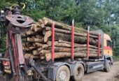 SC PATRI ERY SRL , FIRMĂ EXPOLATARE FORESTIERĂ,VINDE SI TRANSPORTĂ LEMN FOC STEJAR -GORJ