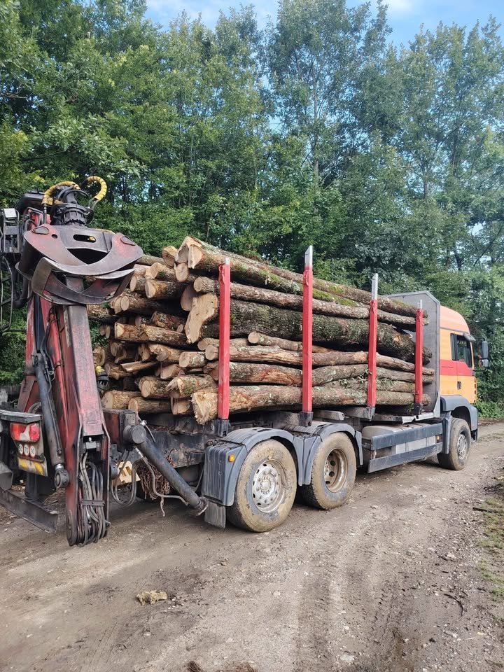 SC PATRI ERY SRL , FIRMĂ EXPOLATARE FORESTIERĂ,VINDE SI TRANSPORTĂ LEMN FOC STEJAR -GORJ