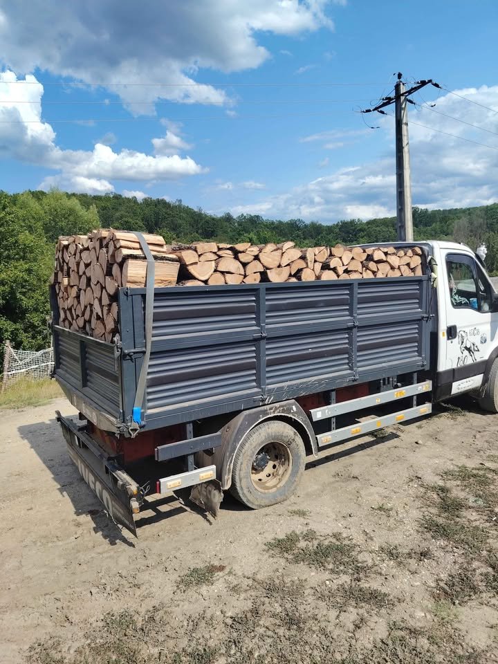 SC PATRI ERY SRL , FIRMĂ EXPOLATARE FORESTIERĂ,VINDE SI TRANSPORTĂ LEMN FOC STEJAR -DOLJ