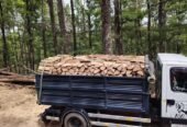 SC PATRI ERY SRL , FIRMĂ EXPOLATARE FORESTIERĂ,VINDE SI TRANSPORTĂ LEMN FOC STEJAR -VALCEA