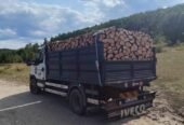 SC PATRI ERY SRL , FIRMĂ EXPOLATARE FORESTIERĂ,VINDE SI TRANSPORTĂ LEMN FOC STEJAR -DOLJ