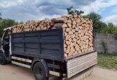SC PATRI ERY SRL , FIRMĂ EXPOLATARE FORESTIERĂ,VINDE SI TRANSPORTĂ LEMN FOC STEJAR -MEHEDINTI