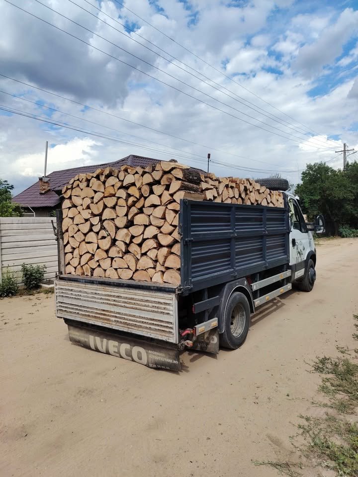 SC PATRI ERY SRL , FIRMĂ EXPOLATARE FORESTIERĂ,VINDE SI TRANSPORTĂ LEMN FOC STEJAR -MEHEDINTI