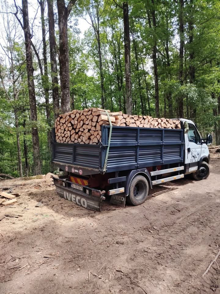 SC PATRI ERY SRL , FIRMĂ EXPOLATARE FORESTIERĂ,VINDE SI TRANSPORTĂ LEMN FOC STEJAR -MEHEDINTI