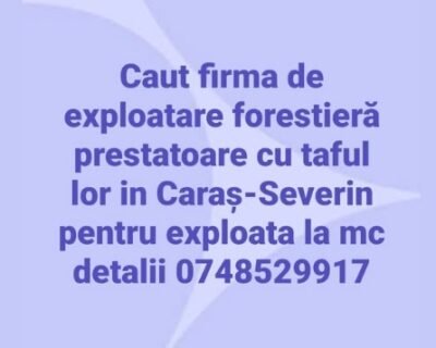 772879926_122346467546199434_9094492697549422257_n-1