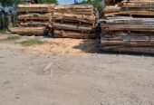 3 baloți la doar 1000 lei numai esență tare fag