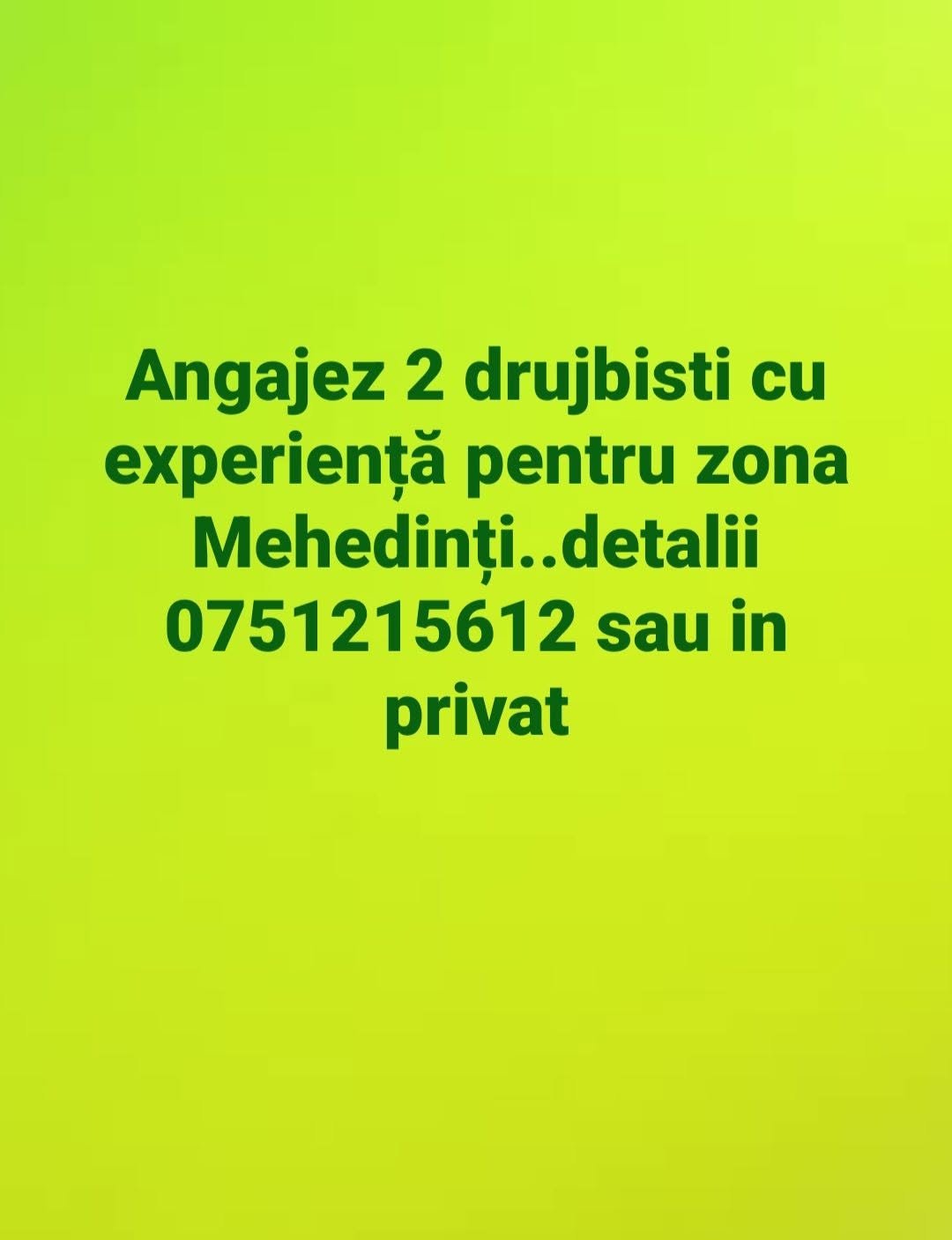 2 Drujbisti cu experienta