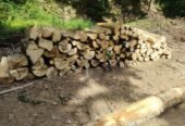 Lemn de foc 0740178852