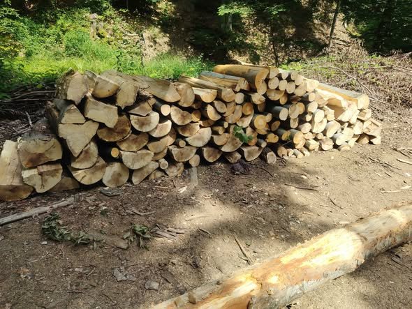 Lemn de foc 0740178852