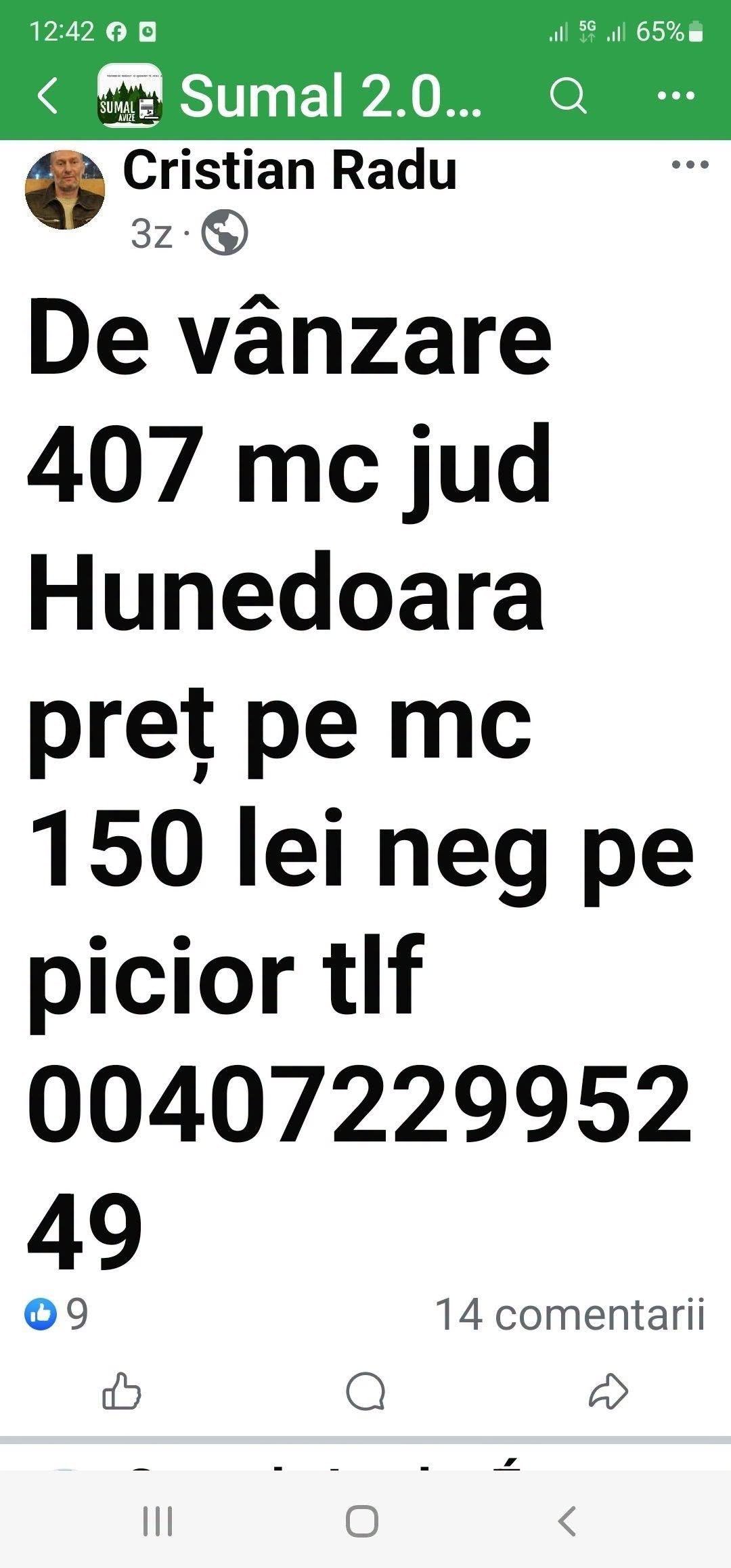De vânzare 407 mc pe fir